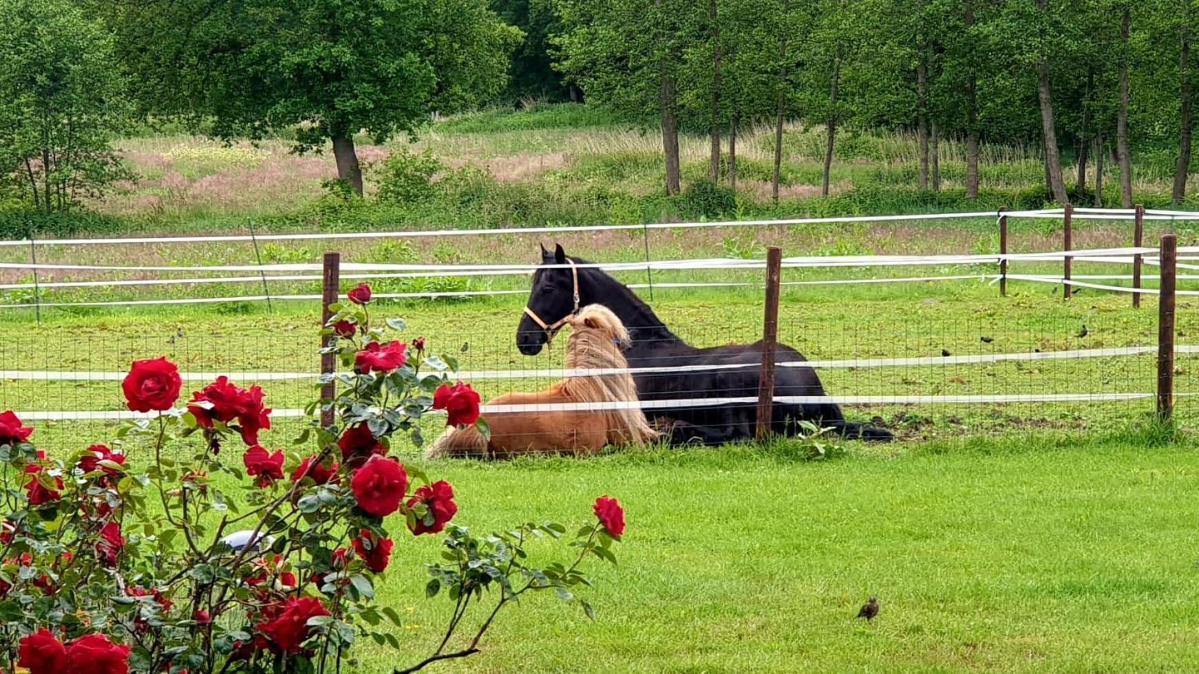 B&B Kuiper In Friesland Ureterp Luaran gambar