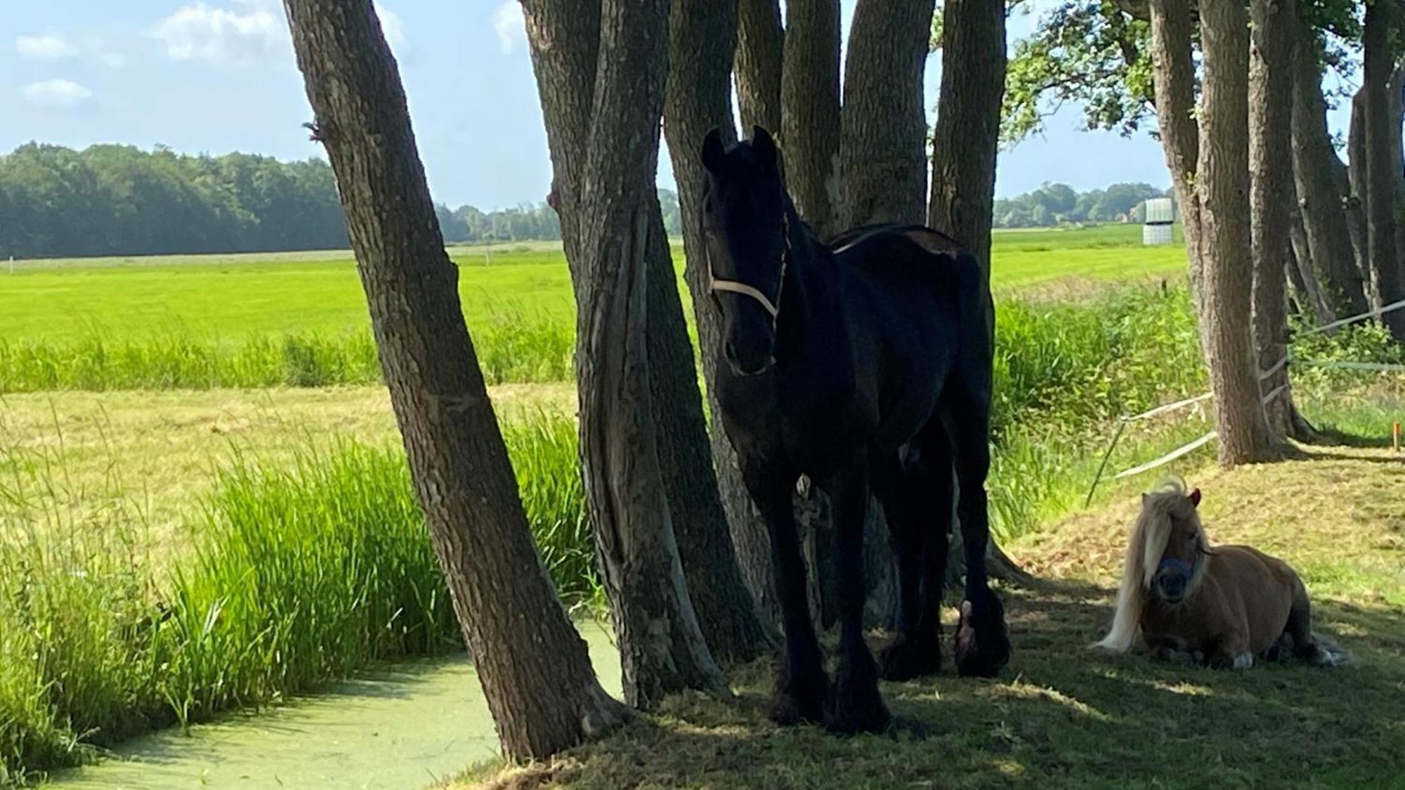 B&B Kuiper In Friesland Ureterp Luaran gambar