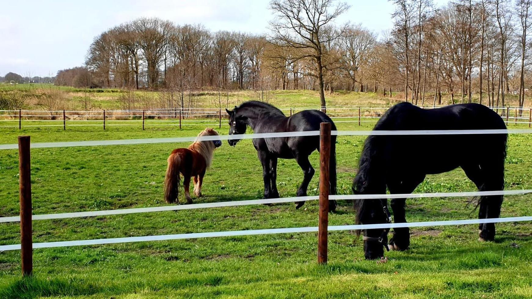 B&B Kuiper In Friesland Ureterp Luaran gambar